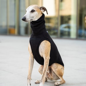 90% cotton Sweatshirt for Whippet whippet clothes BLACK image 3