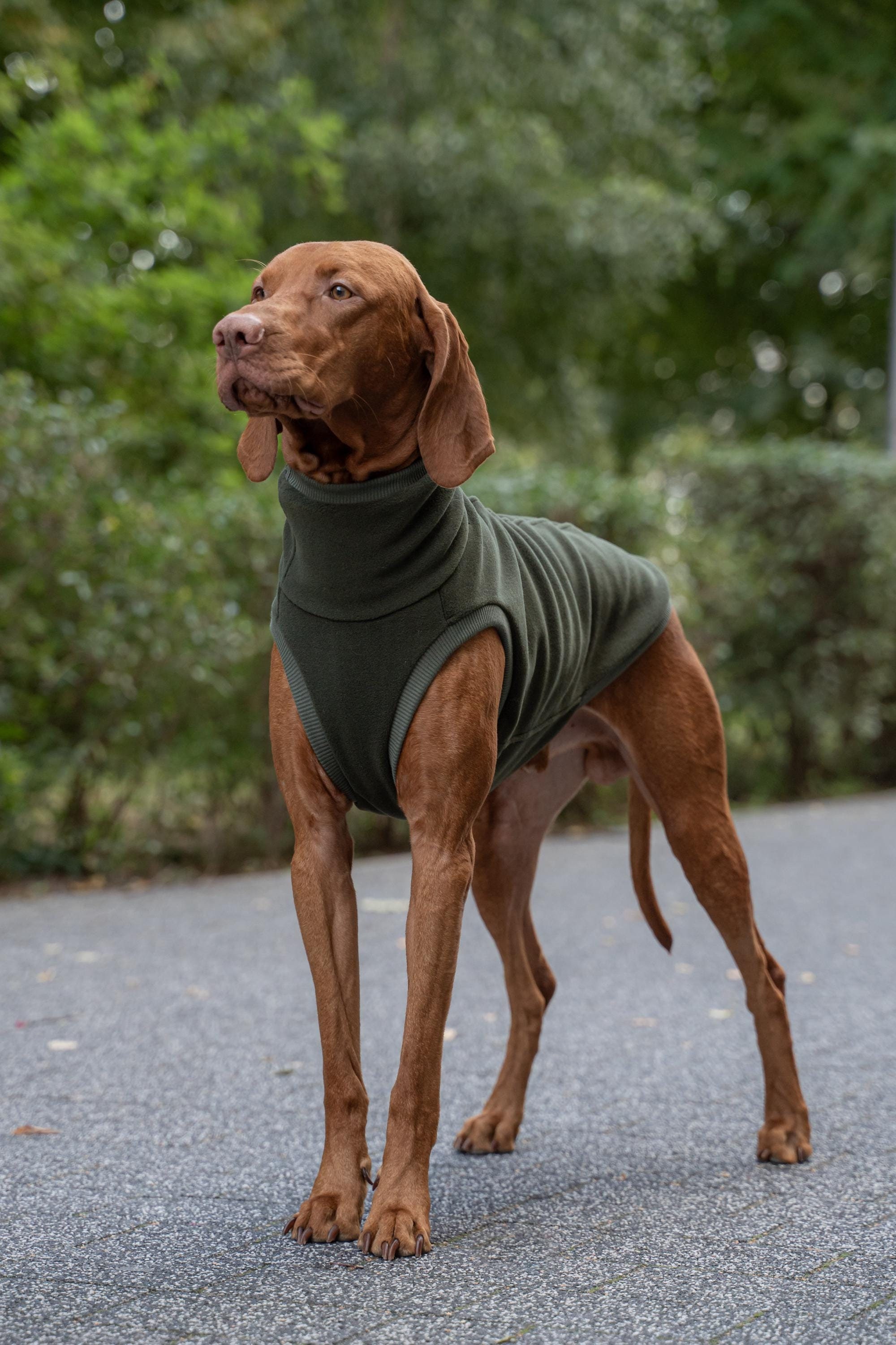 Fleece PRO - comfortable sweatshirt for Vizsla - clothes for big dogs - KHAKI