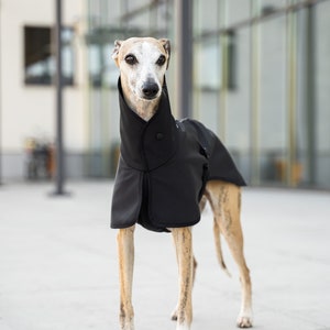 Softshell Coat for Whippet with Reflectors whippet clothes BLACK image 6