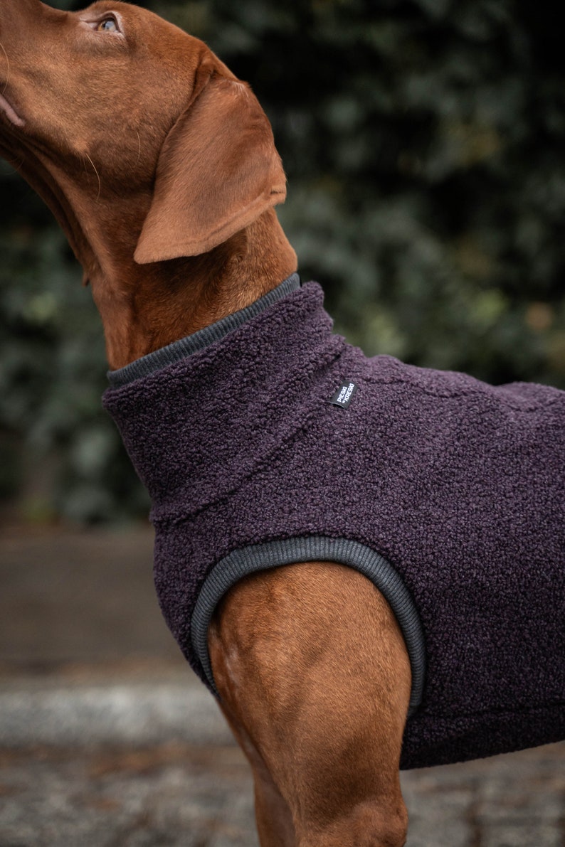 42% wool Sweatshirt for Vizsla dog clothes PURPLE image 6