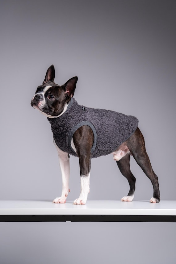 great dane dog sweater Ugly Sweater Christmas with My Great Dane main image 0