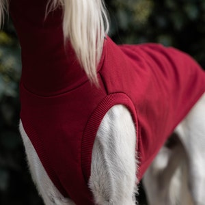 90% cotton Sweatshirt for the big sighthound. Saluki, sloughi, galgo, sighound image 4