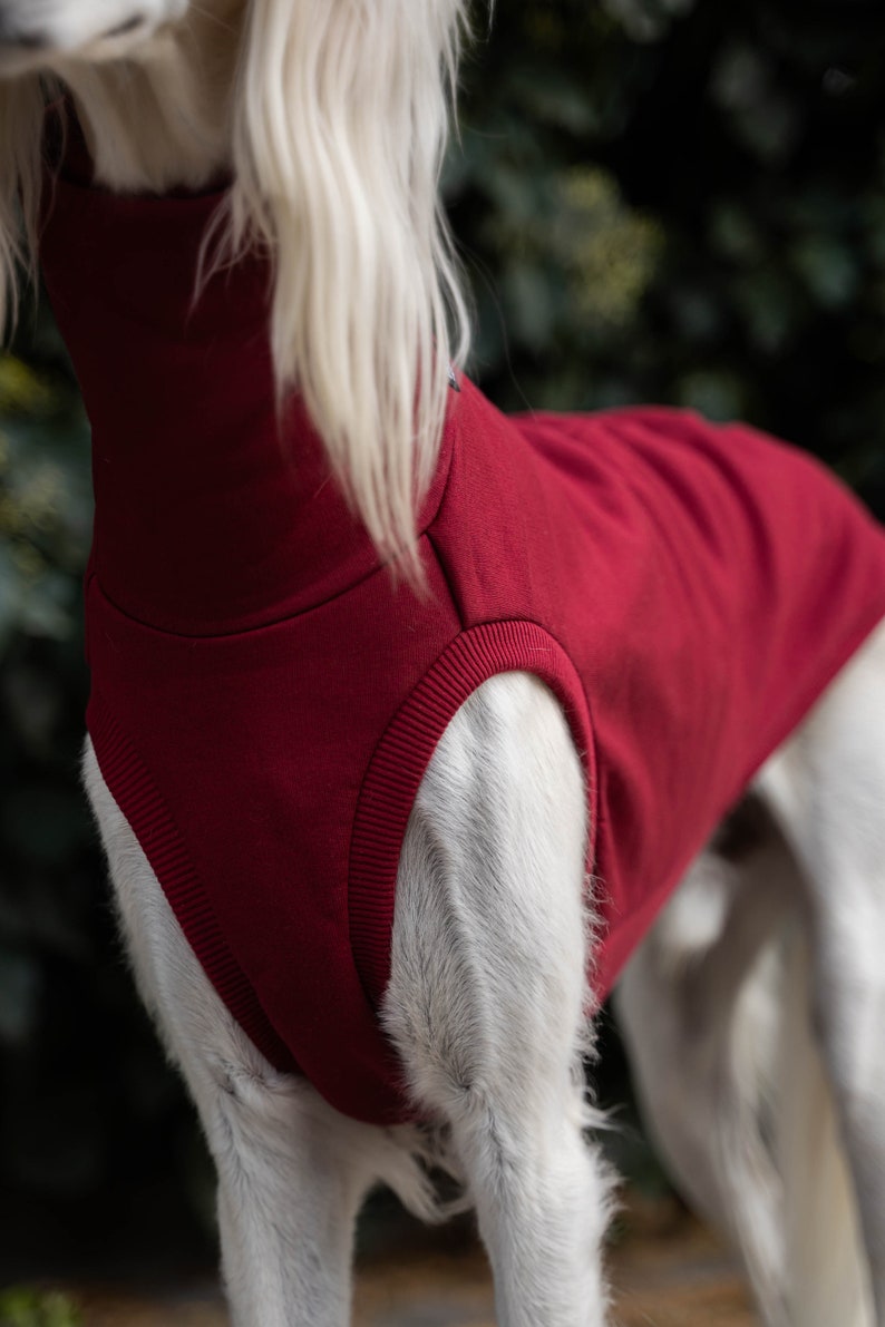 90% cotton Sweatshirt for the big sighthound. Saluki, sloughi, galgo, sighound image 4