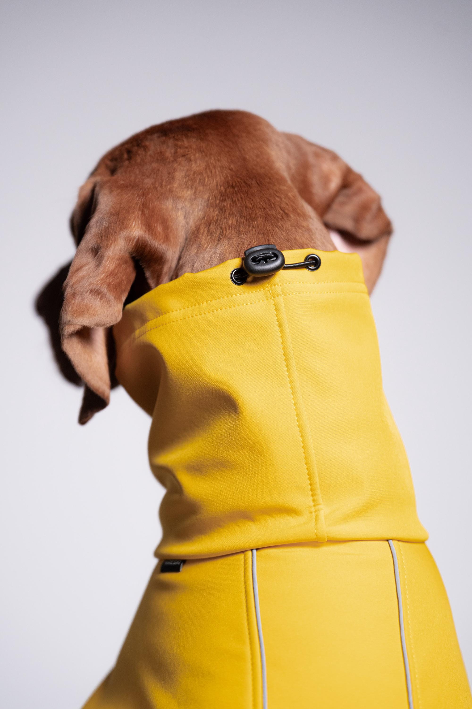 ソフトシェル大型犬用コート - ヴィズラ＆ジャーマンポインター用防水