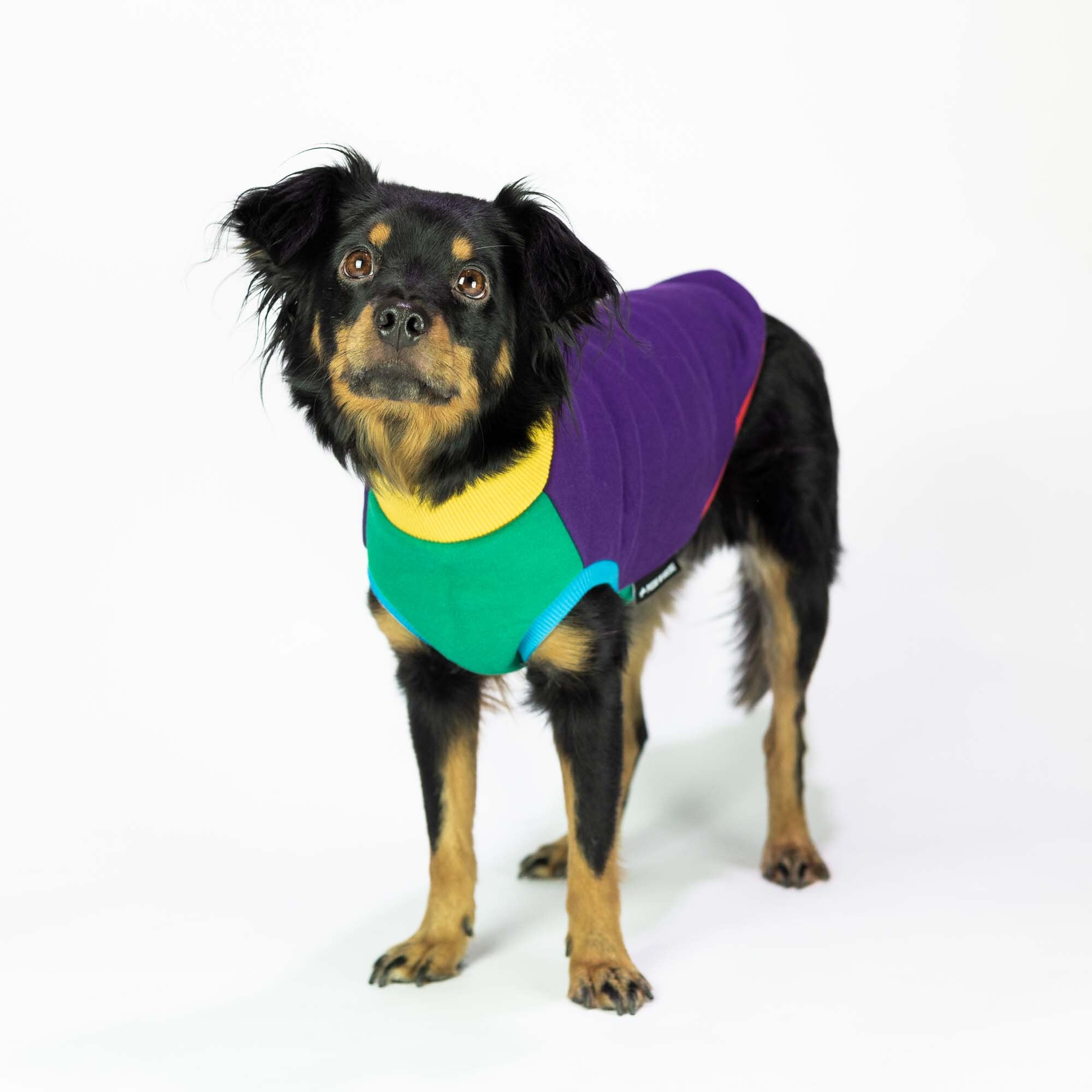 Verrückter Hund Hoodie Pieski w Kreski Hund Hoodie Etsy