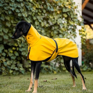 Waterproof Softshell Jacket with Reflectors Stylish Protection for big sighthound. Saluki, sloughi, galgo image 2