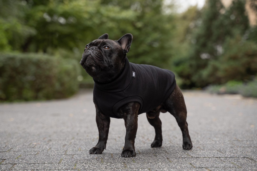 Hundepullover FranzÃ¶sische Bulldogge Welpen Pullover 90