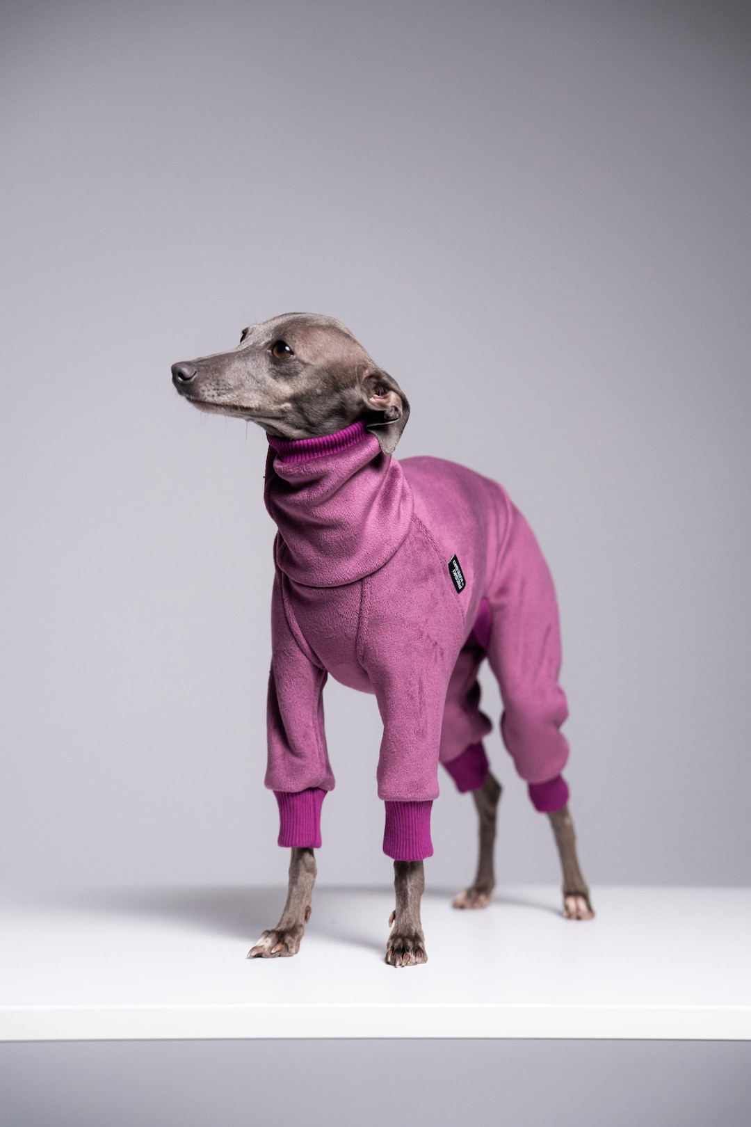 Velvet Fleece Italian Greyhound Jumpsuit – Iggy Dog Overall