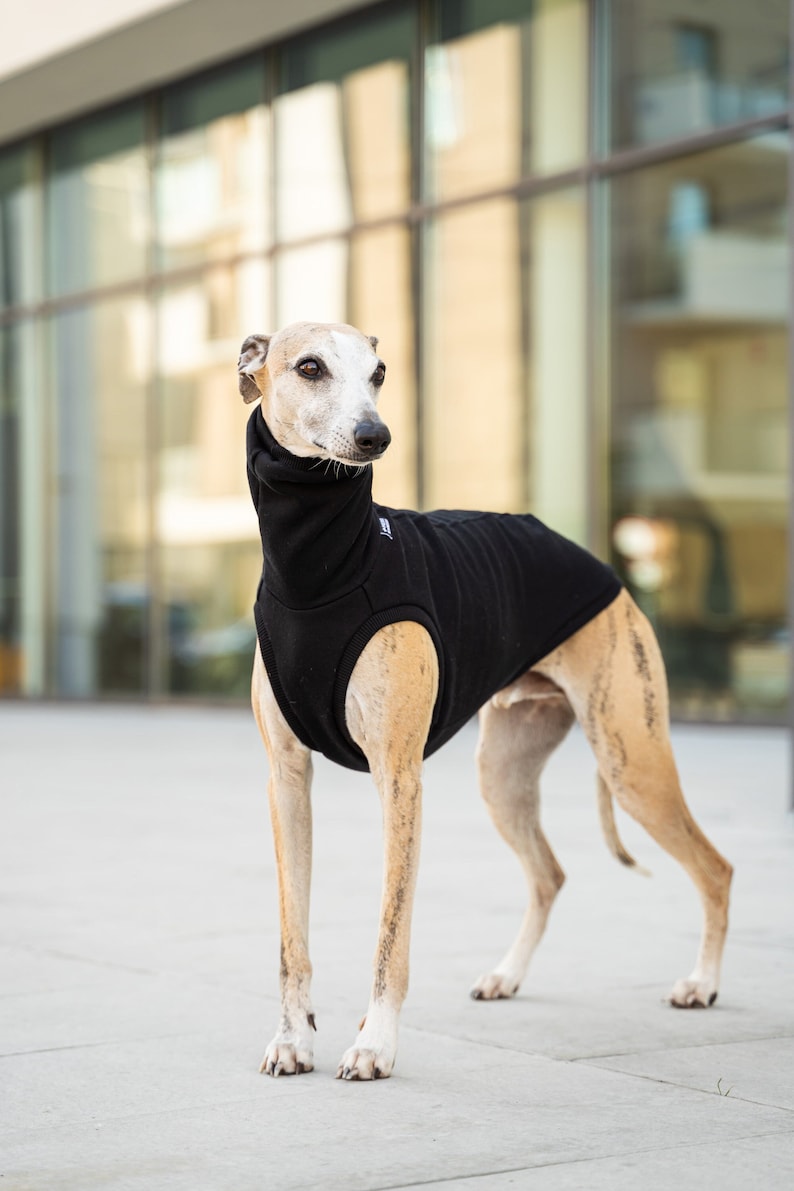 90% cotton Sweatshirt for Whippet whippet clothes BLACK image 1