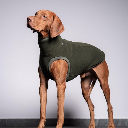 Ski Boots Jog Dog Snow Boots Finish Top Dog Booties (set Of