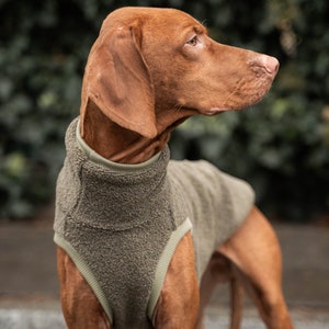 42% Wolle Sweatshirt für Vizsla Hundebekleidung Khaki Bild 2