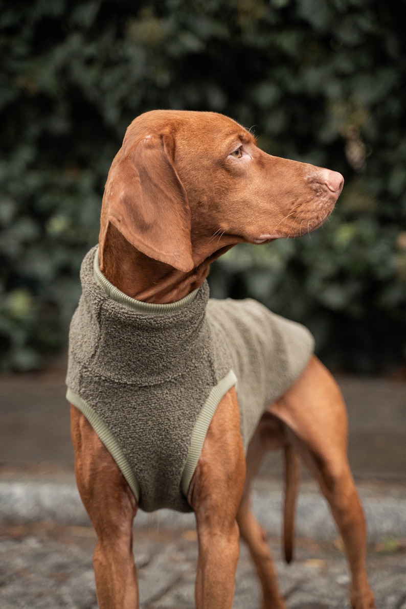 42% Wolle Sweatshirt für Vizsla Hundebekleidung Khaki Bild 2