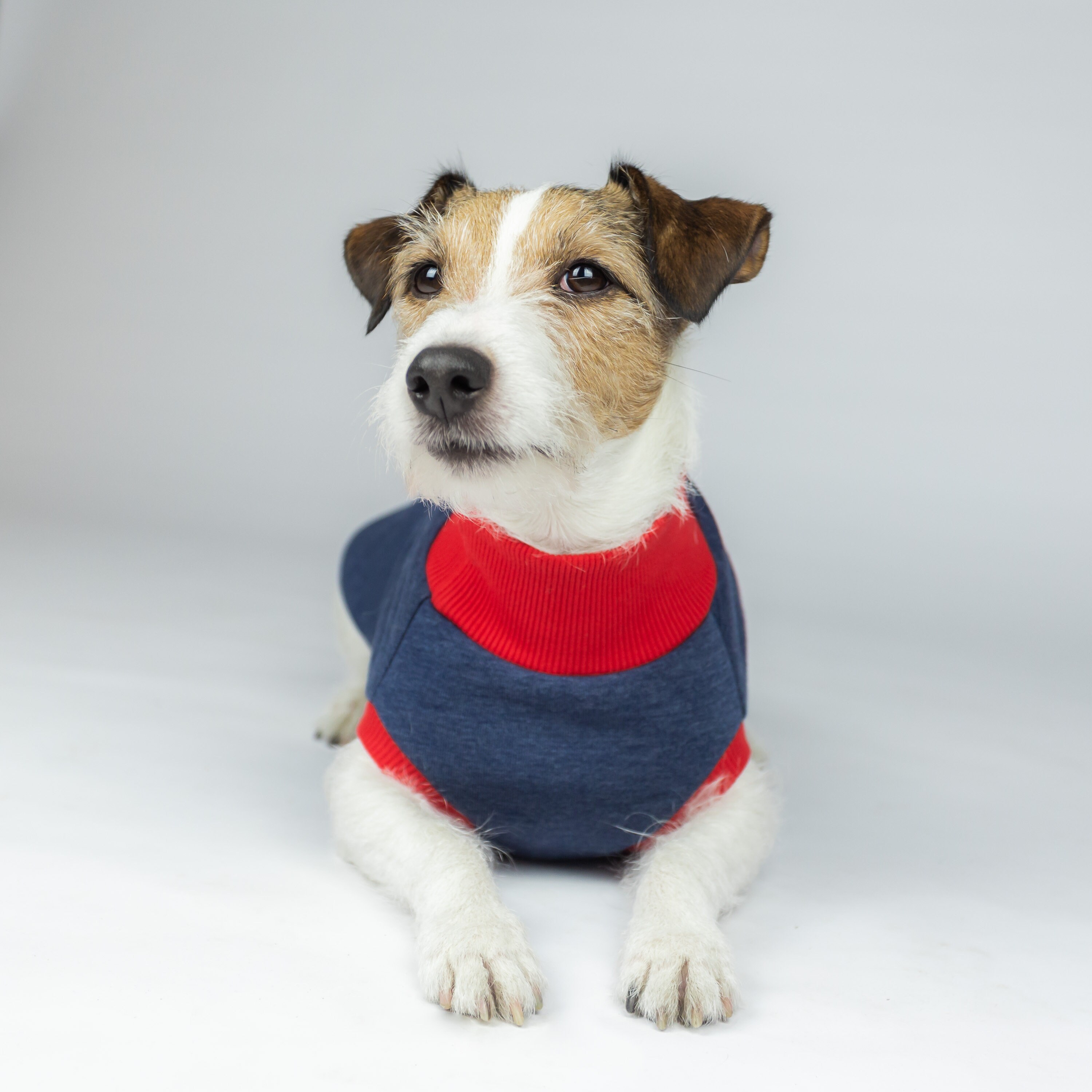 red dog sweatshirt
