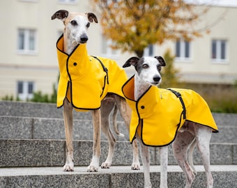 Softshell - Coat for Whippet with Reflectors - whippet clothes - YELLOW