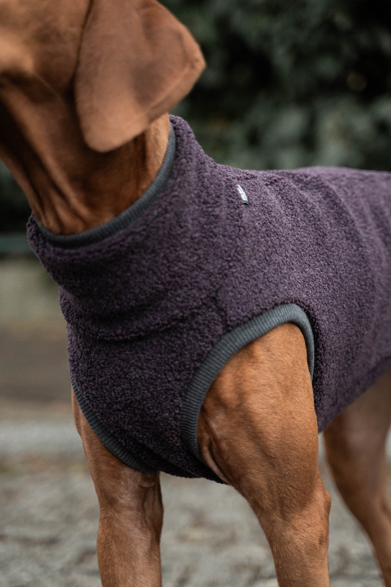 42% wool Sweatshirt for Vizsla dog clothes PURPLE image 4