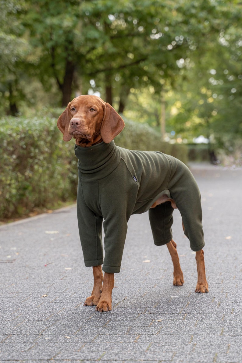 Polar PRO Comfortable, Onepiece Jumpsuit for Vizsla, Dog Clothes KHAKI