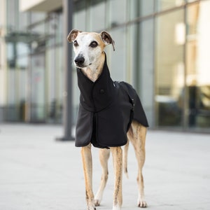 Softshell - Coat for Whippet with Reflectors - whippet clothes - BLACK