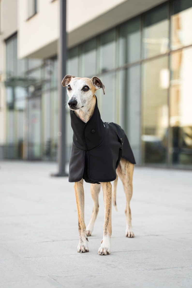 Softshell Mantel für Whippets mit Reflektoren Whippet Kleidung Schwarz Bild 1