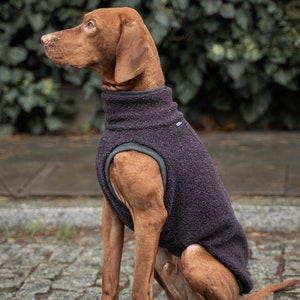 42% wool Sweatshirt for Vizsla dog clothes PURPLE image 5