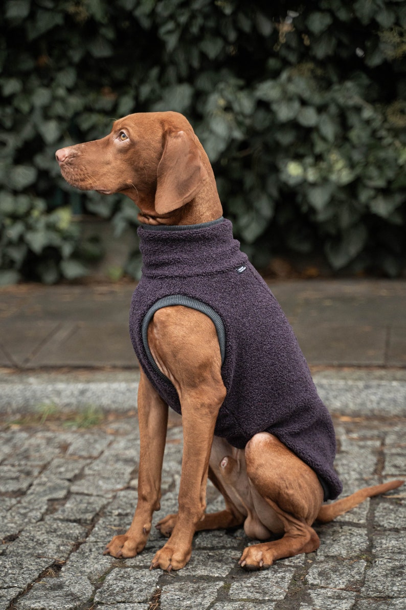 42% wool Sweatshirt for Vizsla dog clothes PURPLE image 5