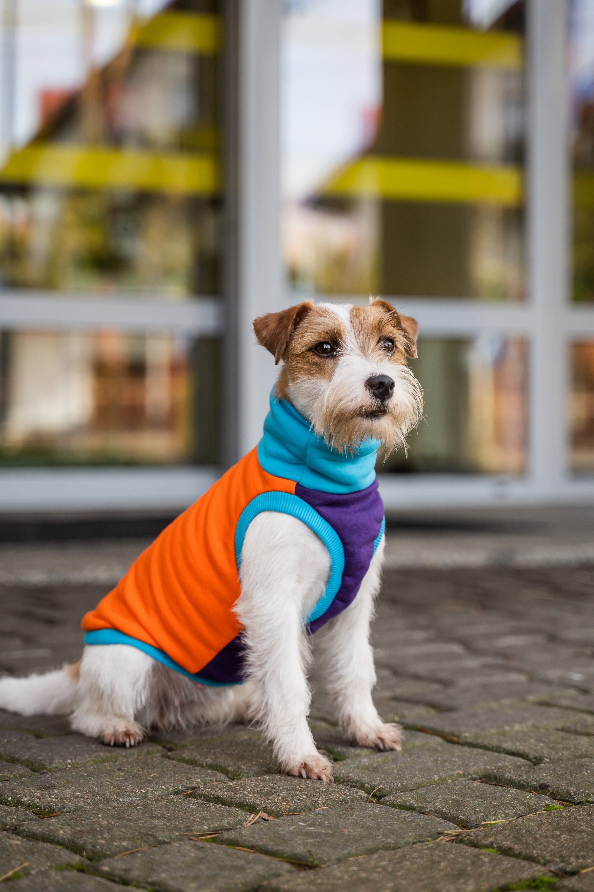 Beschikbaar overhemd hoesten Jack russel jas - Etsy Nederland