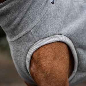 Fleece PRO Sweatshirt für Vizsla Hundebekleidung Grau Bild 6