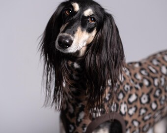 34% wool - Comfortable sweater for a big sighthounds - saluki