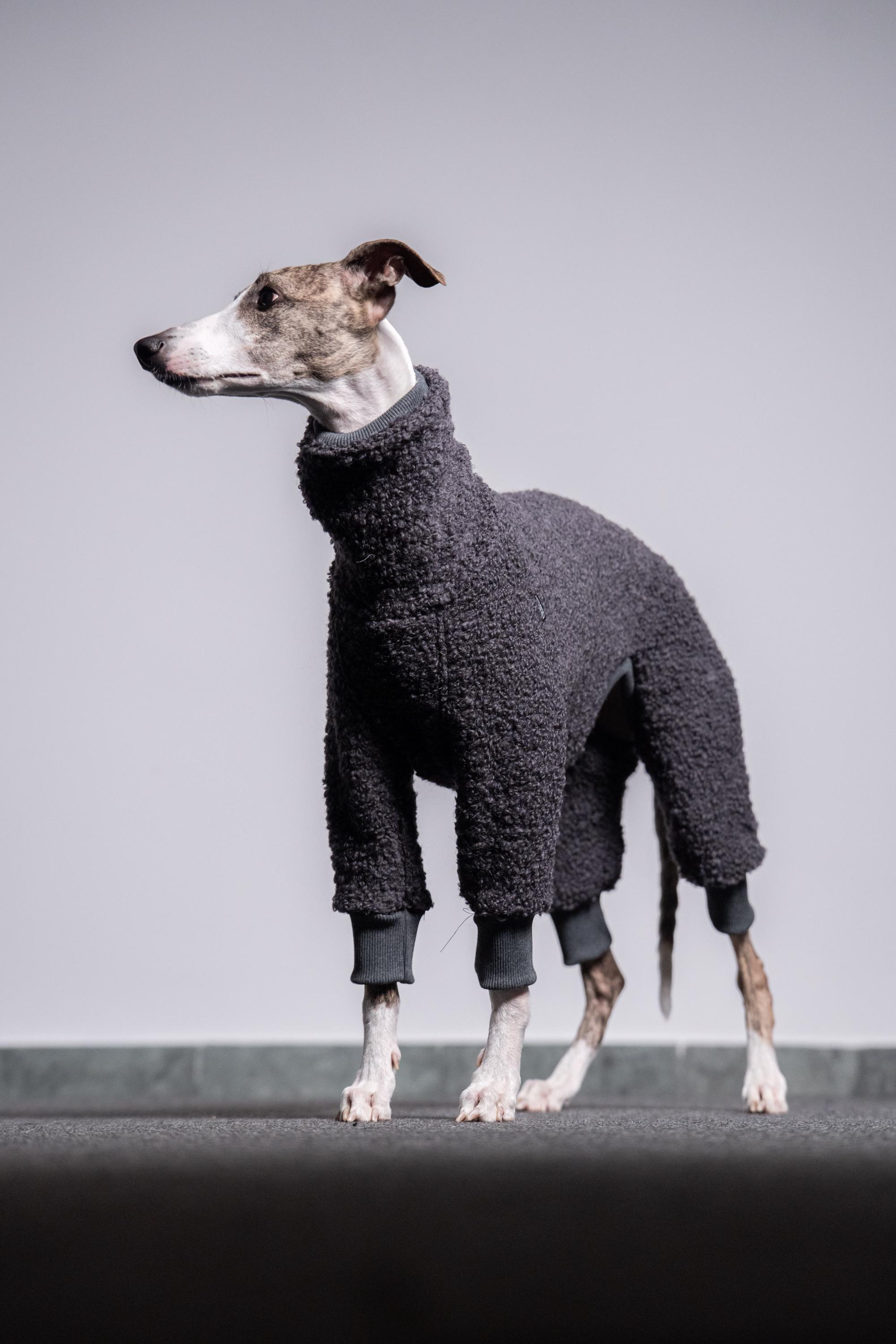 Combinaison Complète Pour Lévrier/Greyhound - Pyjama Chaud D'Hiver, Léger Et Doux, Coupe 4 Pattes, Taille S à 5XL