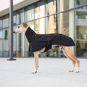 Softshell Coat for Whippet with Reflectors whippet clothes BLACK image 4