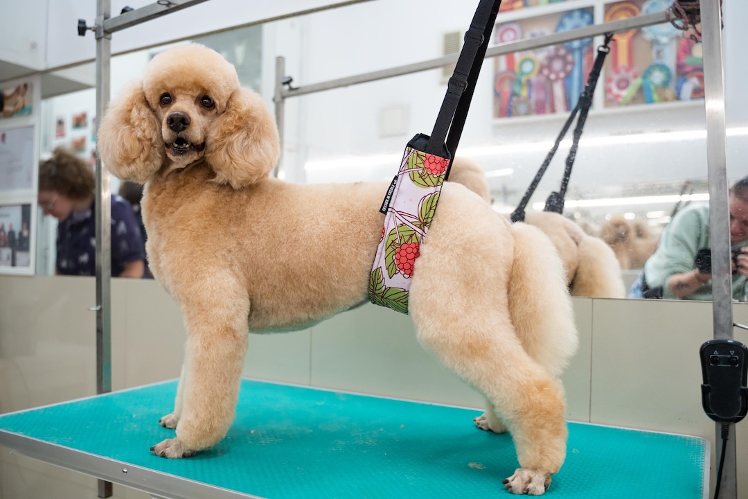 Dog Grooming Belly Strap, Gift for Groomer, Pet Grooming, Doog