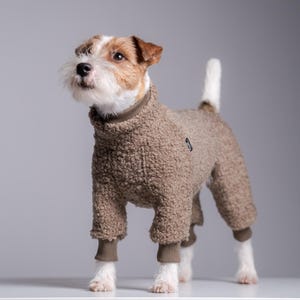 Può includere: Un cagnolino indossa una tuta marrone e soffice con collo alto e polsini a coste. Il cane ha il pelo bianco e marrone ed è in piedi su una superficie bianca contro uno sfondo grigio. La tuta ha una piccola etichetta nera.