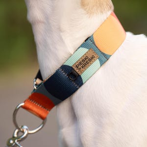 Martingale dog collar best for whippet, sighthound collar, dog accessories / italian greyhound, whippet, saluki - Dots (simple)
