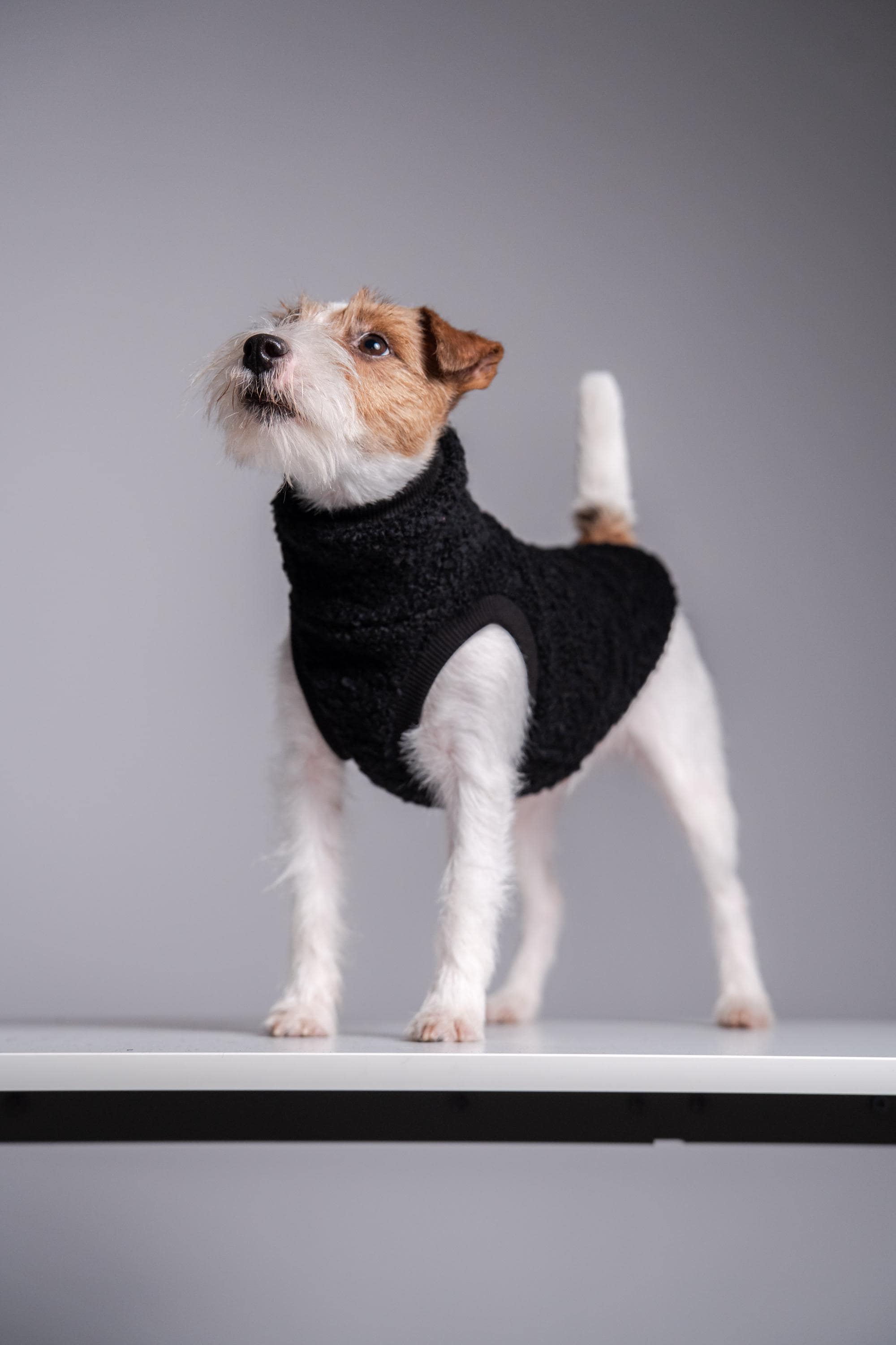 セラミックジャックラッセルテリア置物 ハンドペイント ミニチュア コレクター収集品 パーソナライズギフト 並行輸入品】 WitnyStore  ジャックラッセルテリア セラミックフィギュア 長さ2インチ - 小さなミニチュア犬子犬の置物 手作り ペイント磁器粘土 陶器 白黒ブチ犬 ..., image size:2000x3000