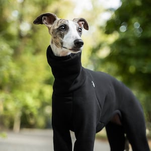 90% coton Combinaison pour Whippet vêtements pour whippet Noir image 3