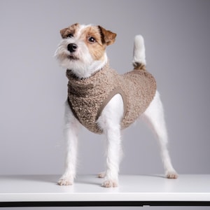 Può includere: Un cane Jack Russell Terrier con un maglione marrone strutturato con collo alto. Il cane ha il pelo bianco con macchie marroni e si trova su una superficie bianca contro uno sfondo grigio.