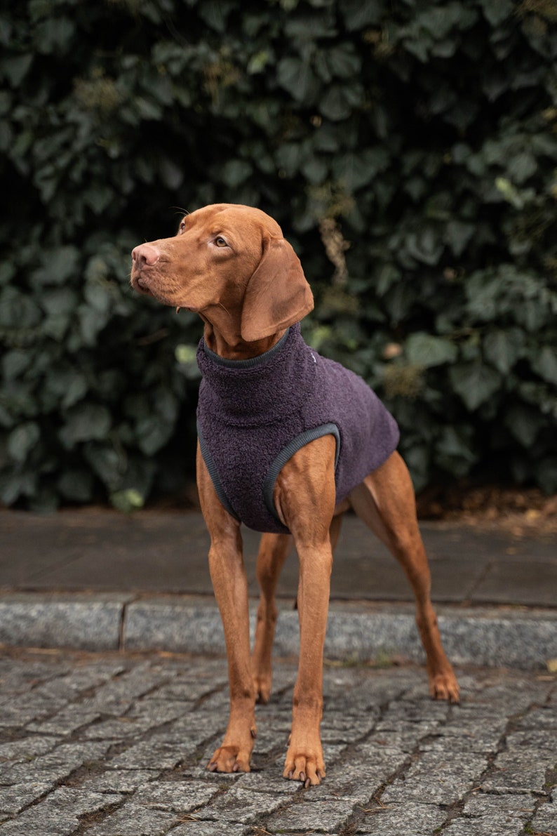 42% wool Sweatshirt for Vizsla dog clothes PURPLE image 1