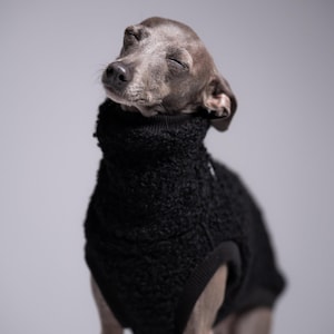 75% Wool Iggy Jumper – Italian Greyhound Clothing, Black