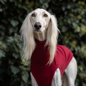 90% cotton Sweatshirt for the big sighthound. Saluki, sloughi, galgo, sighound image 3