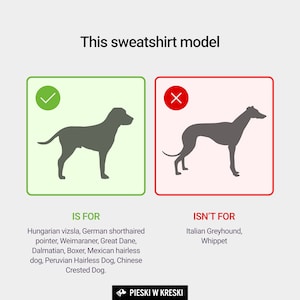 42% wool Sweatshirt for Vizsla dog clothes PURPLE image 9