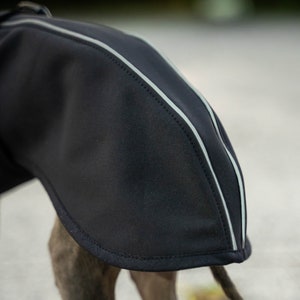 Softshell Manteau pour Iggy avec réflecteurs Vêtements pour lévrier italien NOIR image 6