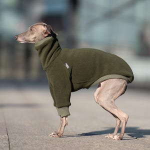 Fleece Pro Italian Greyhound Clothing – Iggy Jumper with Sleeves, Khaki