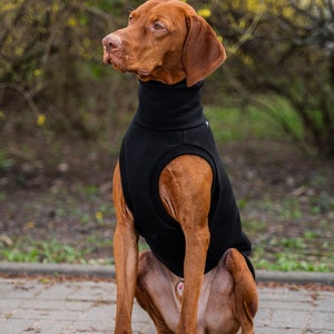 90% Baumwolle Sweatshirt für Vizsla Hundebekleidung Schwarz Bild 3