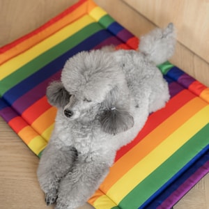 Waterproof, roll-up travel dog mat, blanket for small and large dogs, handmade travel dog bed, top quality - perfect for traveling!