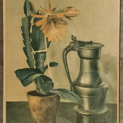 Antique print flowering cactus and acorn pitcher Willy Fleur in metallic shops gray black frame 1930s Art Deco reproduction painting cactus flower