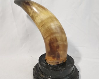 Antique horn on marble base 1930s Antique cow horn | Antique bull horn object | Antique horn and marble object | Antique buffalo horn
