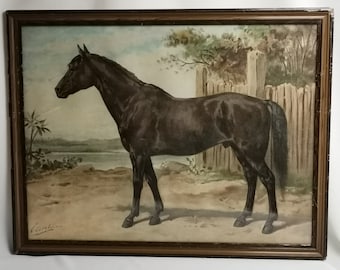 Large antique print horse Otto Eerelman The Australian horse in frame 1900s Antique oleograph horse from book Paardenrassen E.A.L. Quadekker