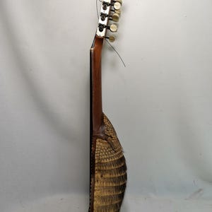 Vintage Charango Stringed Instrument With 10 Strings and Armadillo