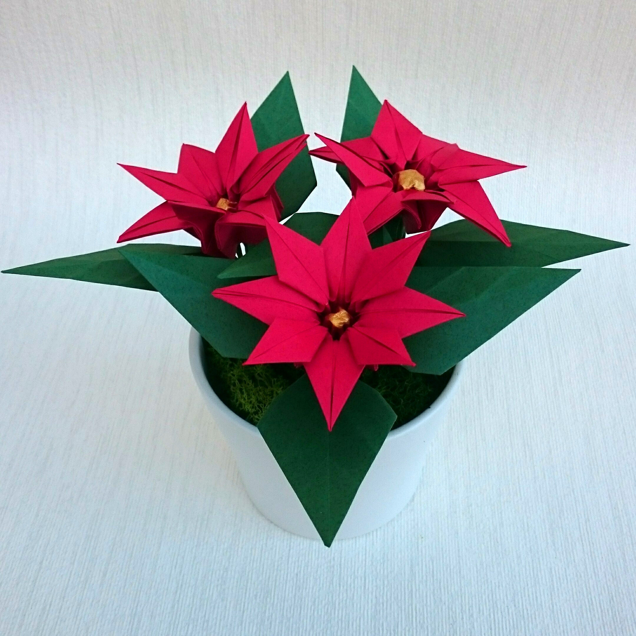 Regalo de Navidad de flor de pascua roja flores de papel de - Etsy México