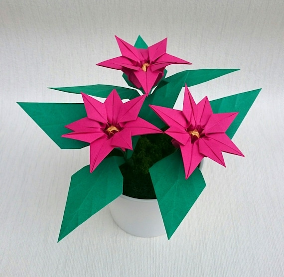 Items Similar To Christmas Poinsettia Plant In Pot Pink