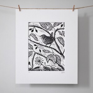 Wren - Original Limited Edition Lino print, Linocut print, Bird print, black ink print, nature print, botanical print